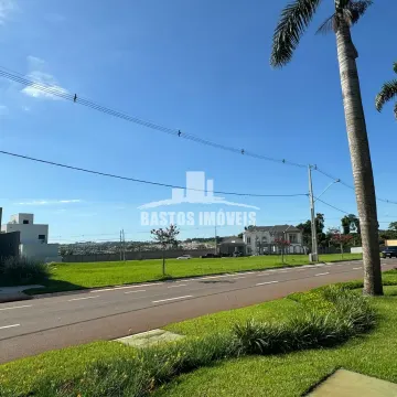 Forest Hill - Cianorte PR