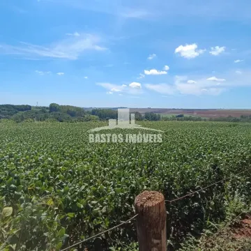 Estrada Cambuci - Cianorte PR