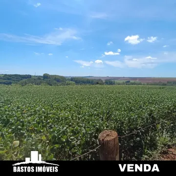 Estrada Cambuci - Cianorte PR