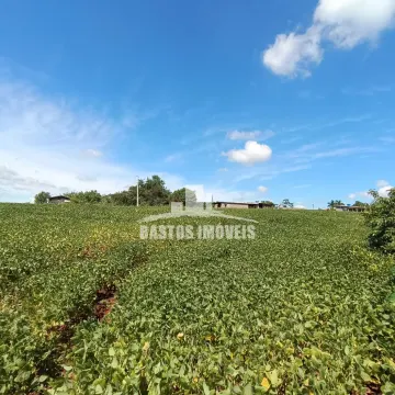 Estrada Cambuci - Cianorte PR