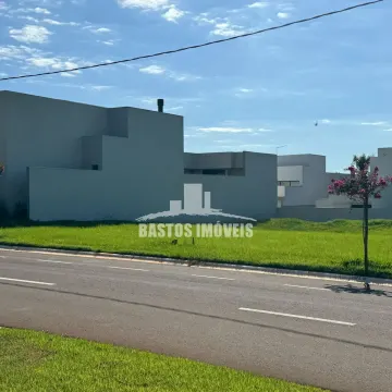 Forest Hill - Cianorte PR